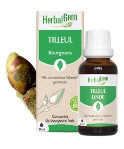 Tilleul (Tilia tomentosa) bourgeon BIO, 30 ml